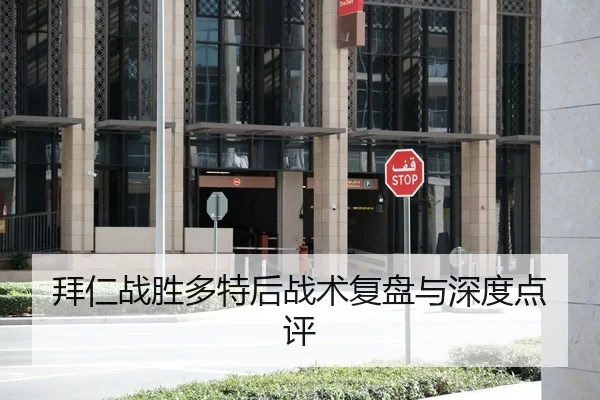 拜仁战胜多特后战术复盘与深度点评